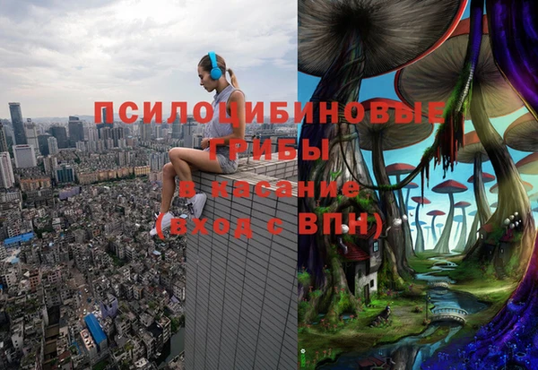 ГАЛЛЮЦИНОГЕННЫЕ ГРИБЫ Надым