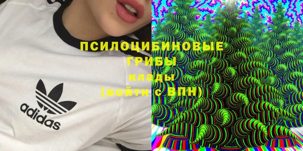 дурь Наволоки
