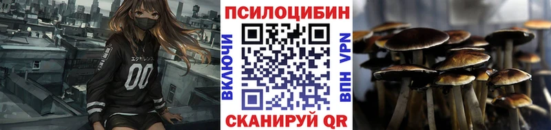 Псилоцибиновые грибы прущие грибы  Ржев 
