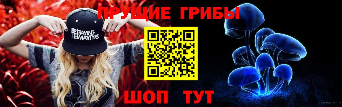 Ржев  Псилоцибиновые грибы прущие грибы  Галлюциногенные грибы мухоморы  Вход с VPN 